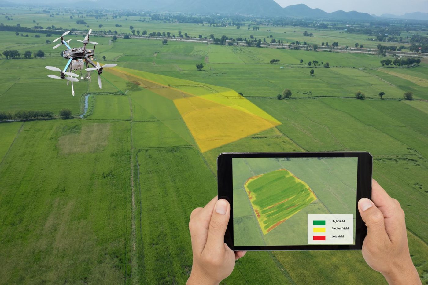 Rilievo GIS del verde su tablet in campo