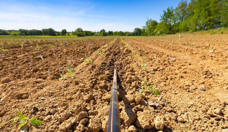 Terreno arato con linea di drenaggio