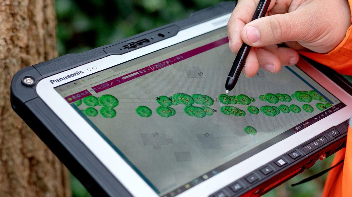 Analisi dei dati su tablet in campo