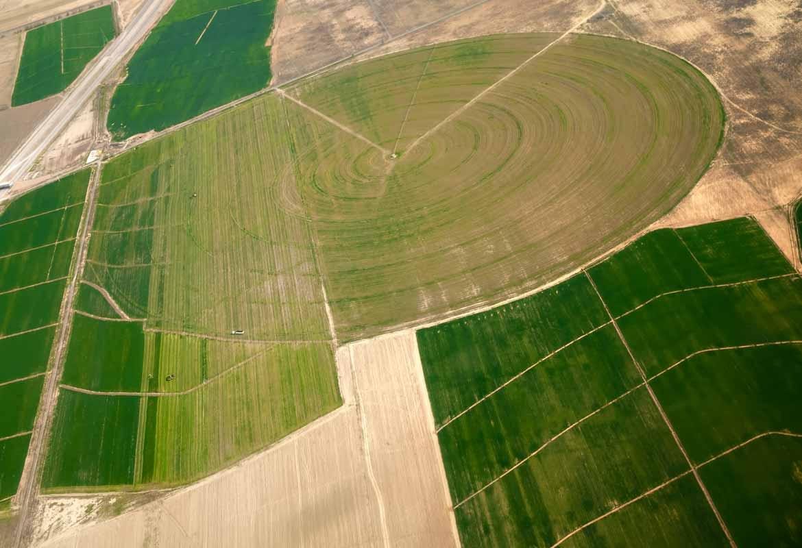 Veduta aerea di campi coltivati