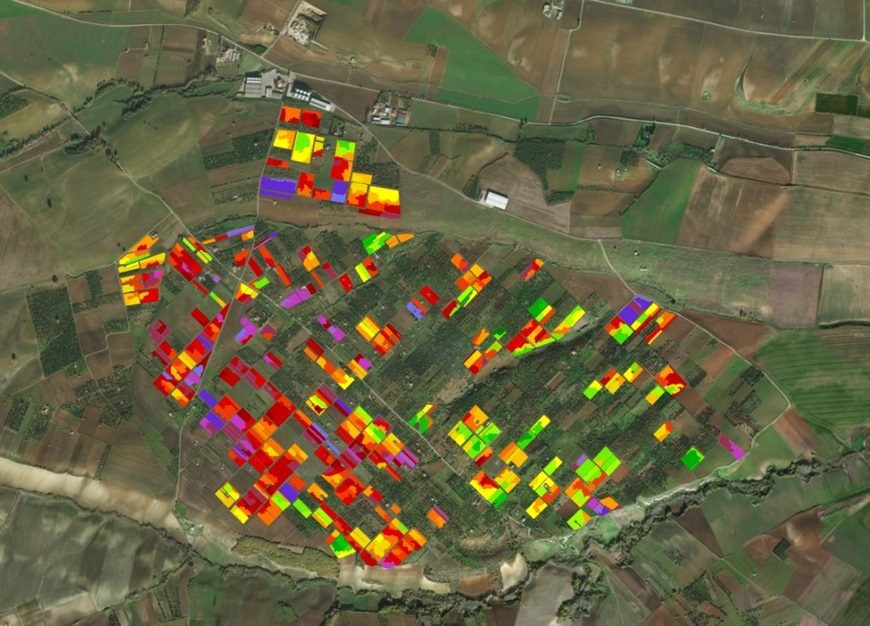Analisi satellitare del territorio (indici NDVI)